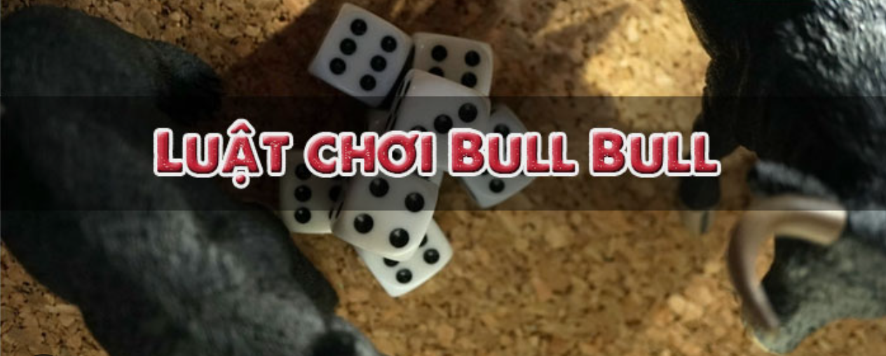 Luật chơi Bull Bull Shbet cho các tân thủ